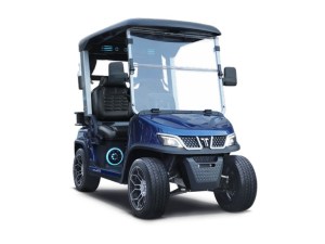 Tara Roadster 2 Seater Evolution Lithium Golf Cart Blue